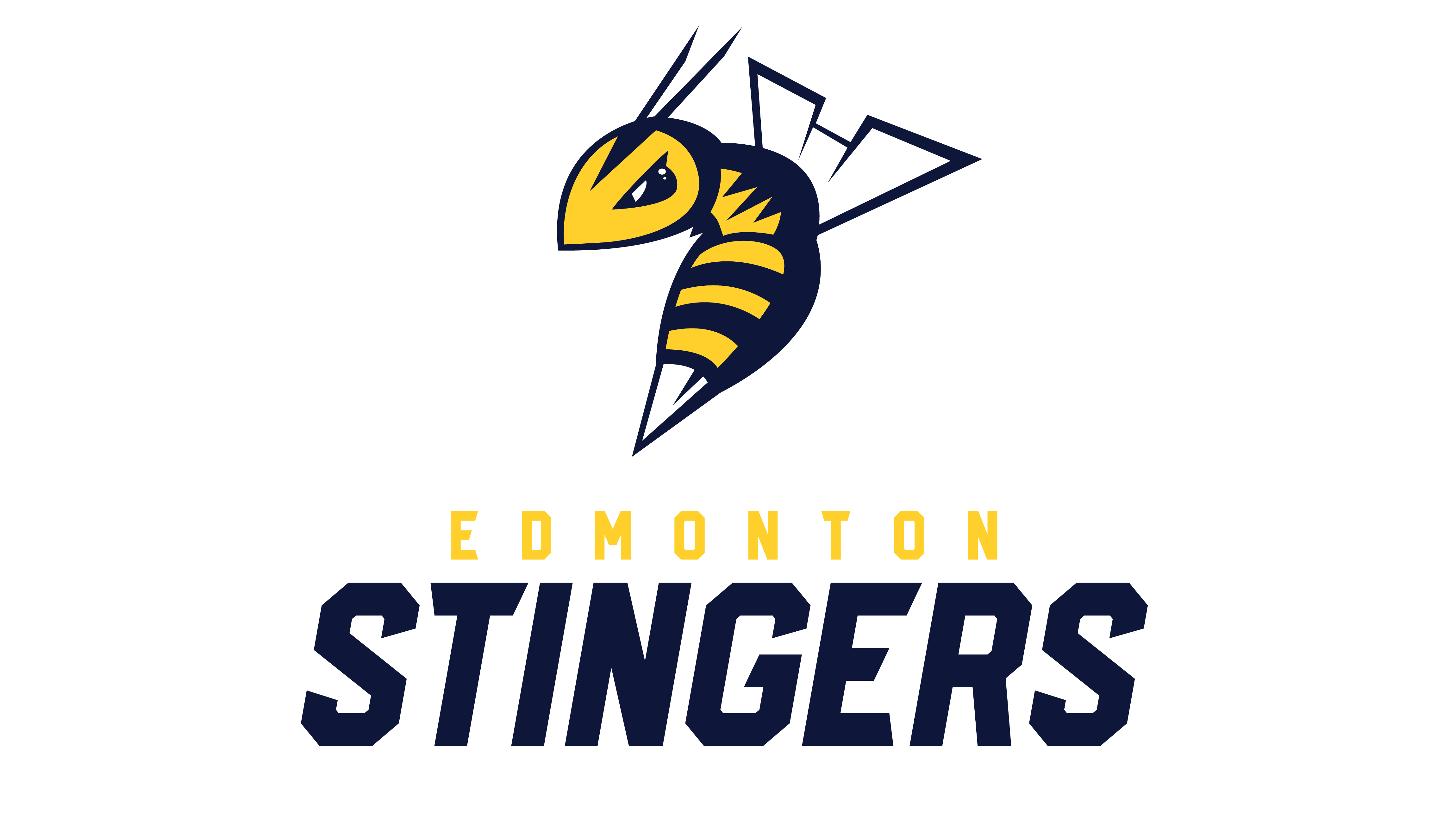 Edmonton Stingers Set to Create a Buzz in the CEBL Edmonton EXPO Centre